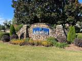 117 Tulip Tree Court - Photo 4