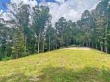 3.3ac Trillium Trail - Photo 5