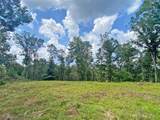 3.3ac Trillium Trail - Photo 6
