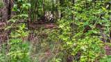 140 Levi Trail - Photo 9