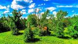 4209 Giverny Boulevard - Photo 19
