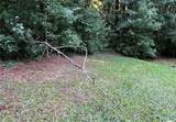 3005 Patty Hollow - Photo 3