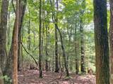 10.59 Ac, T S Jarrard Road - Photo 15
