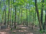 10.59 Ac, T S Jarrard Road - Photo 2