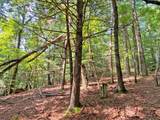 10.59 Ac, T S Jarrard Road - Photo 6