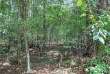 1298 Radio Springs Road - Photo 15