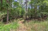 1298 Radio Springs Road - Photo 16