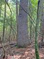 11AC T S Jarrard Road - Photo 7