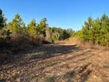 0 Luke Edwards Road - Photo 6