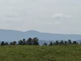 1100 Fuller Mountain - Photo 2