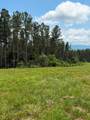 1100 Fuller Mountain - Photo 21
