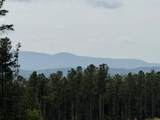 1100 Fuller Mountain - Photo 24