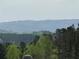 1100 Fuller Mountain - Photo 3