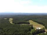 1100 Fuller Mountain - Photo 8