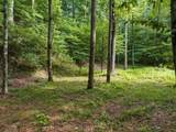 434 Lemmon Drive - Photo 10