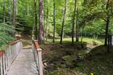 434 Lemmon Drive - Photo 9