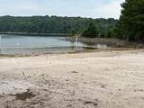 9129 Brookshire Road - Photo 4