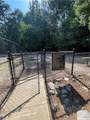 3914 Howell Park Road - Photo 39