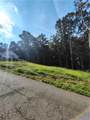 245 Brad St - Photo 3