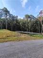 245 Brad St - Photo 4