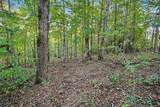 0 Locust Road - Photo 4