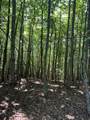 Tract A Oak Ledge Road - Photo 3