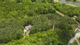 0 Golden Delicious Road - Photo 12