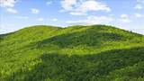 0 Golden Delicious Road - Photo 15