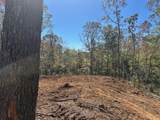 3.71 Yancy Drive - Photo 6