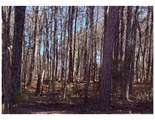 3297 Lakeview Parkway - Photo 1