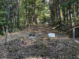 330 Wild Azalea Trail - Photo 2