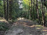 330 Wild Azalea Trail - Photo 3