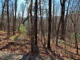 LOT #1 Forest Canopy Way - Photo 5