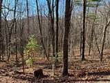 LOT #1 Forest Canopy Way - Photo 6