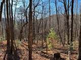 LOT #1 Forest Canopy Way - Photo 7