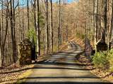 LOT #2 Forest Canopy Way - Photo 3
