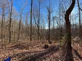 LOT #2 Forest Canopy Way - Photo 4