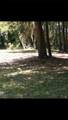 221 Turtle Drive - Photo 2