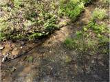 0 Shallow Water Way - Photo 12