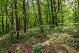 206R Mystic Trail Lane - Photo 10