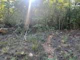 0 Springer Road - Photo 7