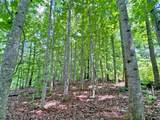 39.2ac Falling Pines Road - Photo 1