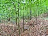 39.2ac Falling Pines Road - Photo 10