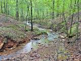 39.2ac Falling Pines Road - Photo 12