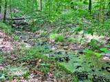 39.2ac Falling Pines Road - Photo 13