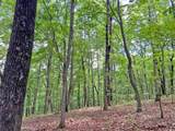 39.2ac Falling Pines Road - Photo 2