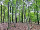 39.2ac Falling Pines Road - Photo 4