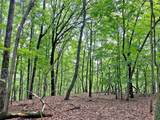 39.2ac Falling Pines Road - Photo 5