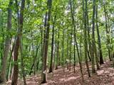 39.2ac Falling Pines Road - Photo 7