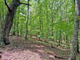 39.2ac Falling Pines Road - Photo 8